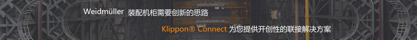 金彩汇